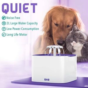BPA-Free Pet Drinking Water Fountain (2 LITER)